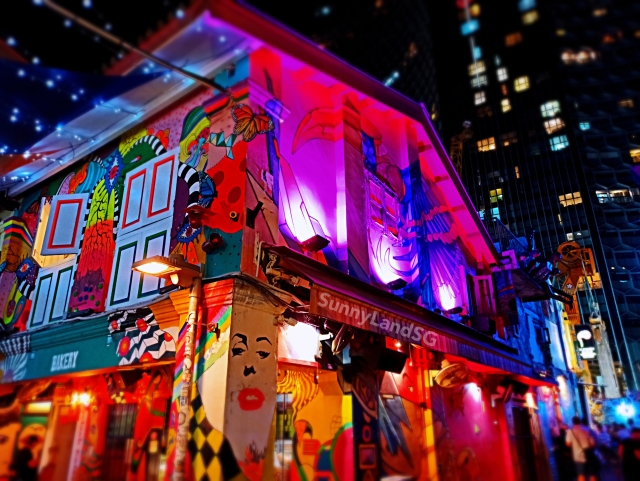 新加坡保留区甘榜格南的哈芝巷夜景。